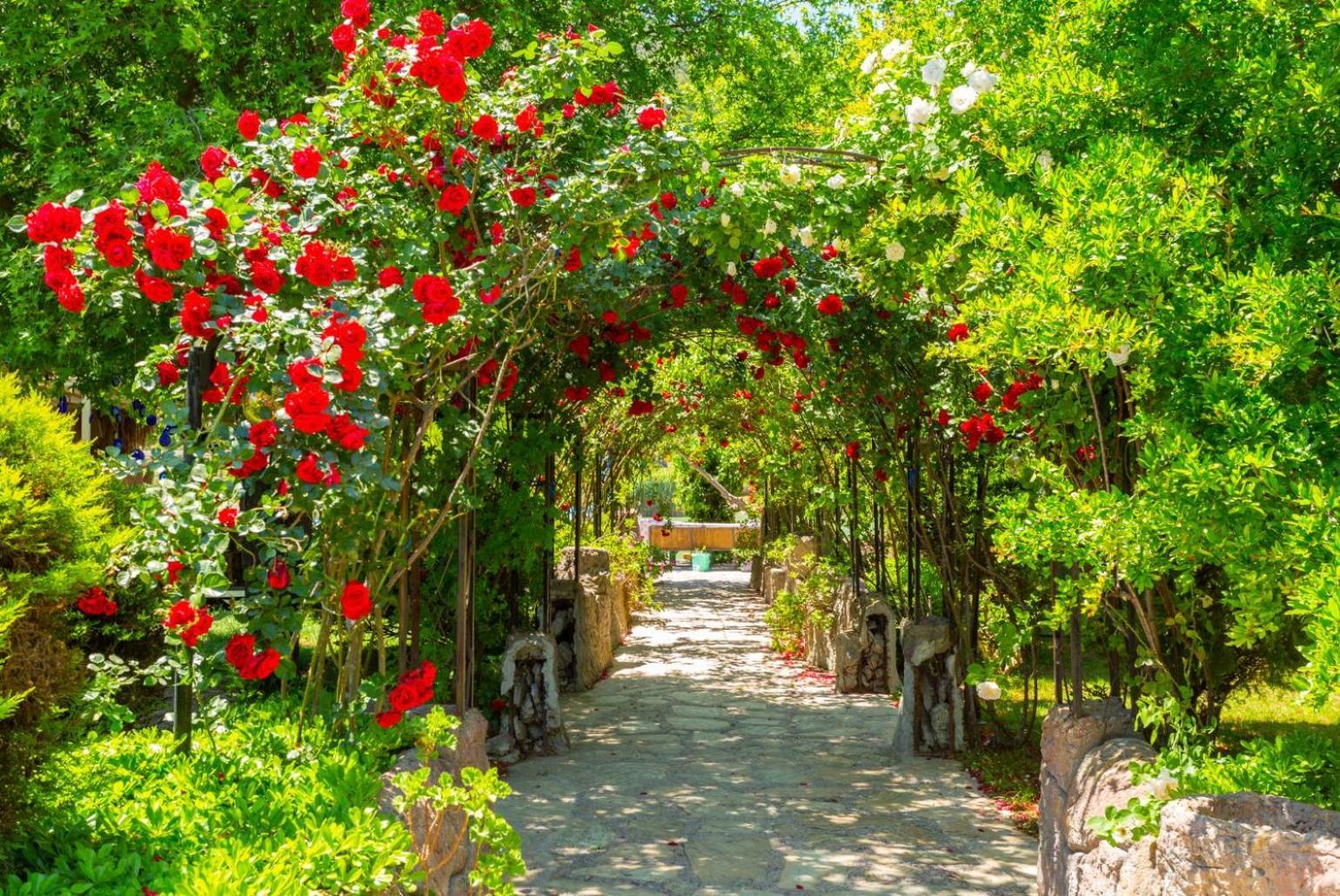 Villa Ayla Paradise داليان المظهر الخارجي الصورة